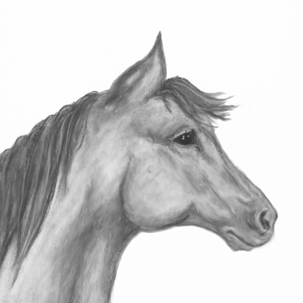 Horse Side Profile by Ave Hurley Signed Original Print Set 4x6 + ACEO